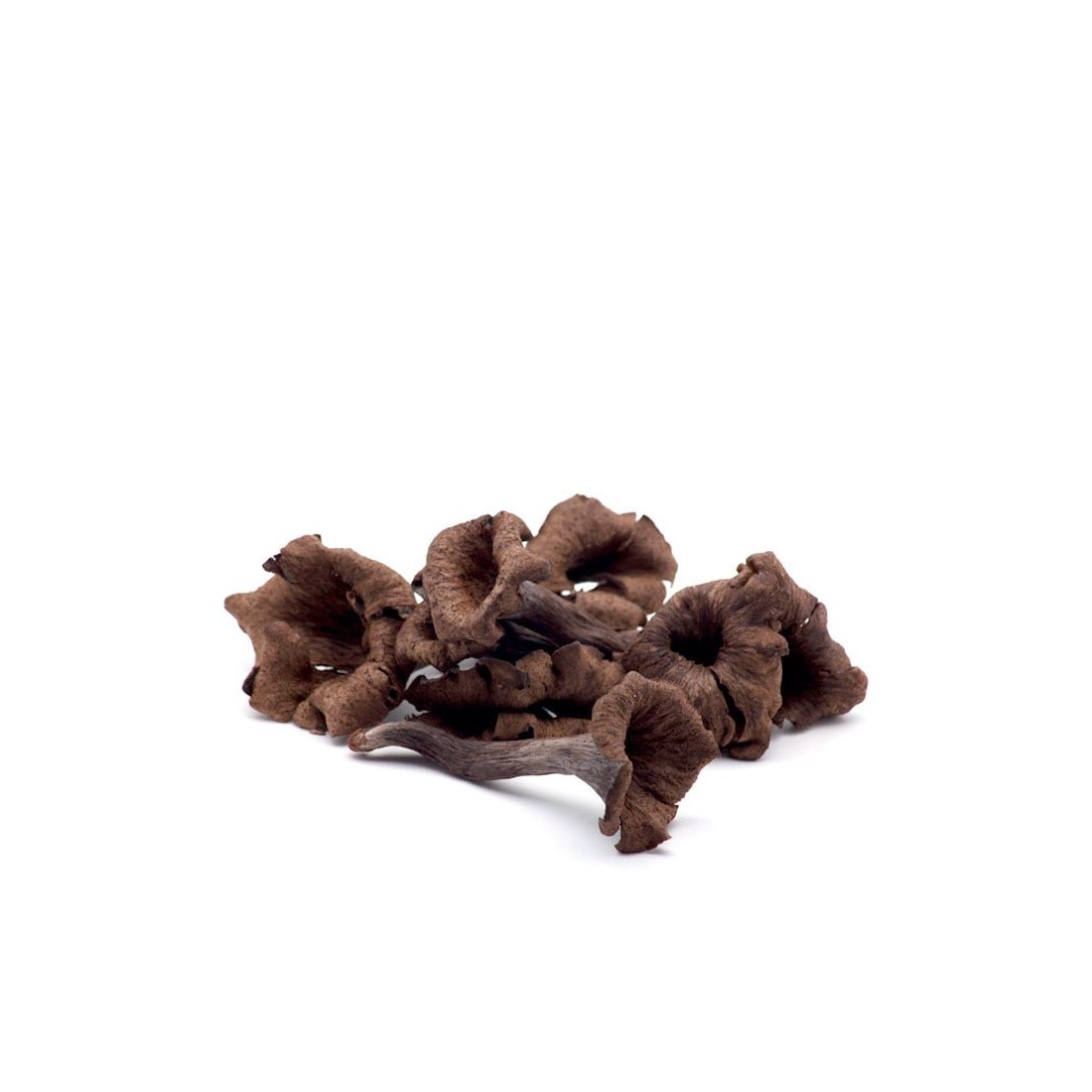 Fresh Black Trumpet | Precision & Comfort for Every Note