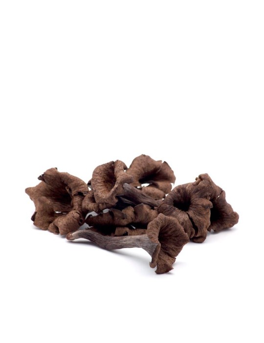 Frische schwarze Trompete – Präzision & Stil