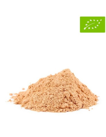 Fungo dell'Inchiostro Biologico 1kg - Coprinus Comatus... 2