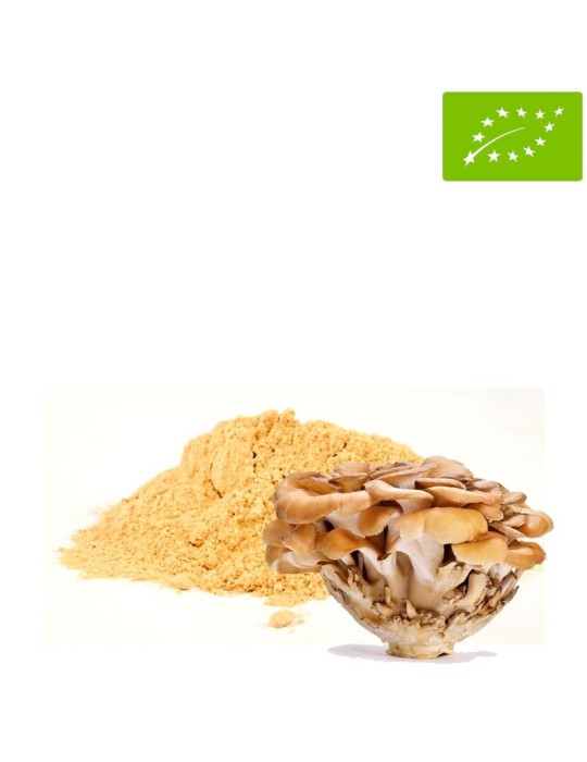 Maitake en poudre BIO 1Kg - Grifola Frondosa