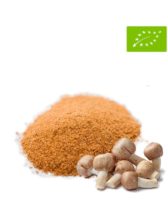 Organic Sun Mushroom BIO 1Kg | Organic Superfood