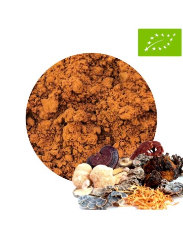 1 kg Misto 7 Funghi Mediciani BIO in Polvere 2