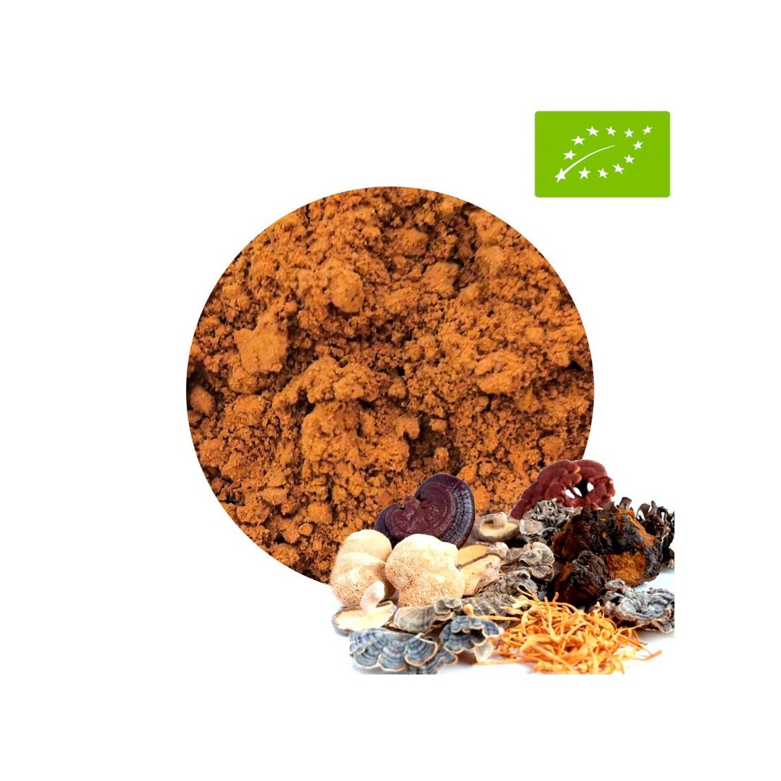 Mistura 7 Cogumelos Medicinais BIO 1kg