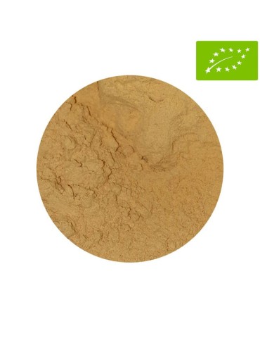 1 Kg Cordyceps en polvo BIO 2
