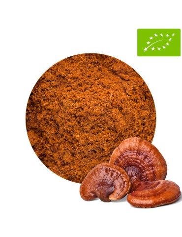 Reishi in Polvere BIO 1Kg - Integratore Naturale Biologico 2