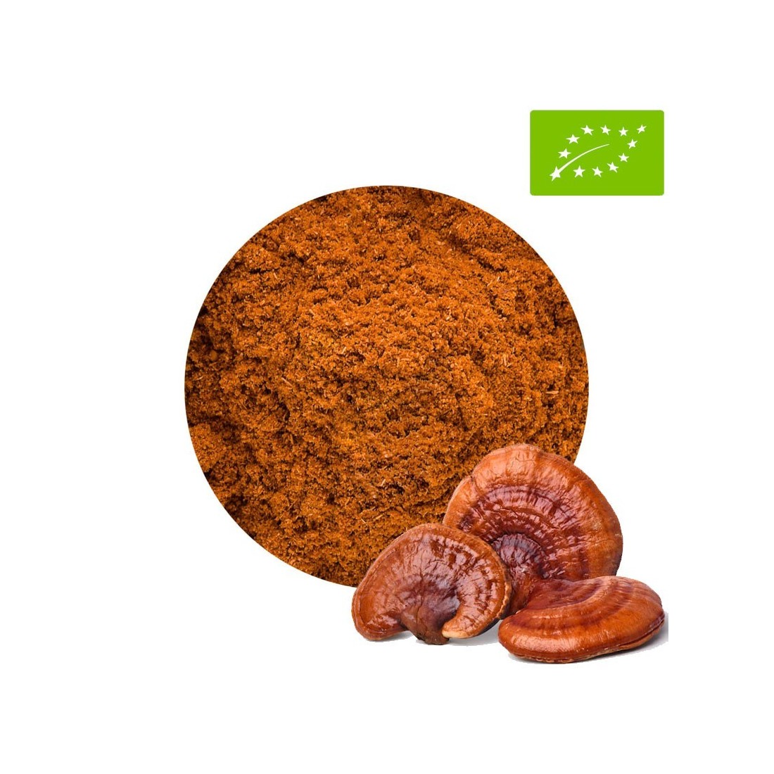 Bio Reishi Pulver 1kg - Organisches Natürliches Supplement
