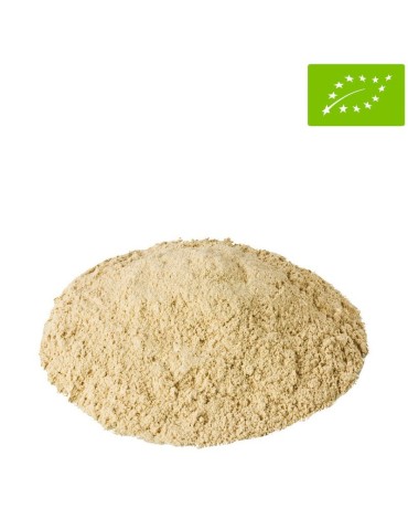 Criniera di Leone Biologica 1kg - Potenza Mentale e Immunità 2