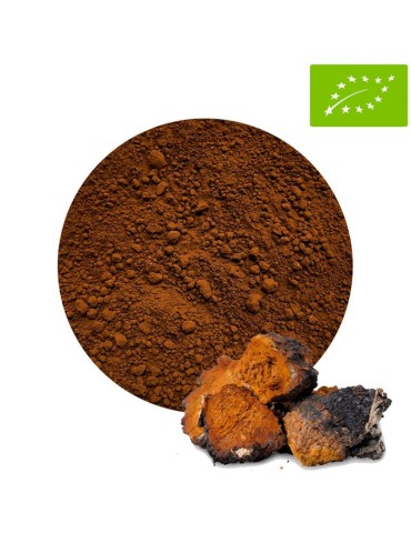 Polvere Chaga Biologica 1Kg - Superfood Antiossidante 2