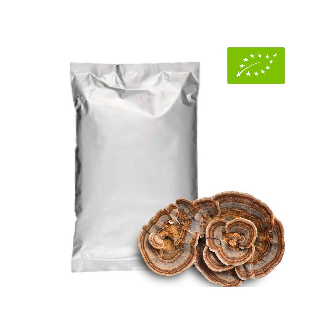 Bio Coriolus versicolor 1kg Pulver - Immunstärkung &... Bio Coriolus versicolor 1kg Pulver - Immunstärkung &...