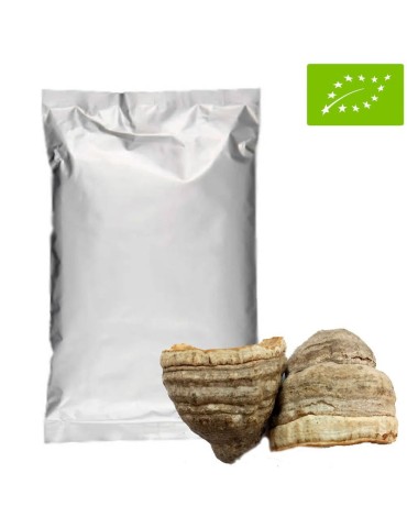Polvere Fungo Tinder Biologico 1kg - Potenza Naturale