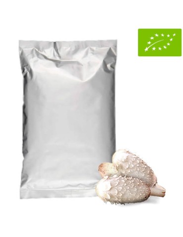 Fungo dell'Inchiostro Biologico 1kg - Coprinus Comatus...