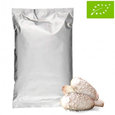 1 kg Bio-Tintenpilz, Coprinus comatus