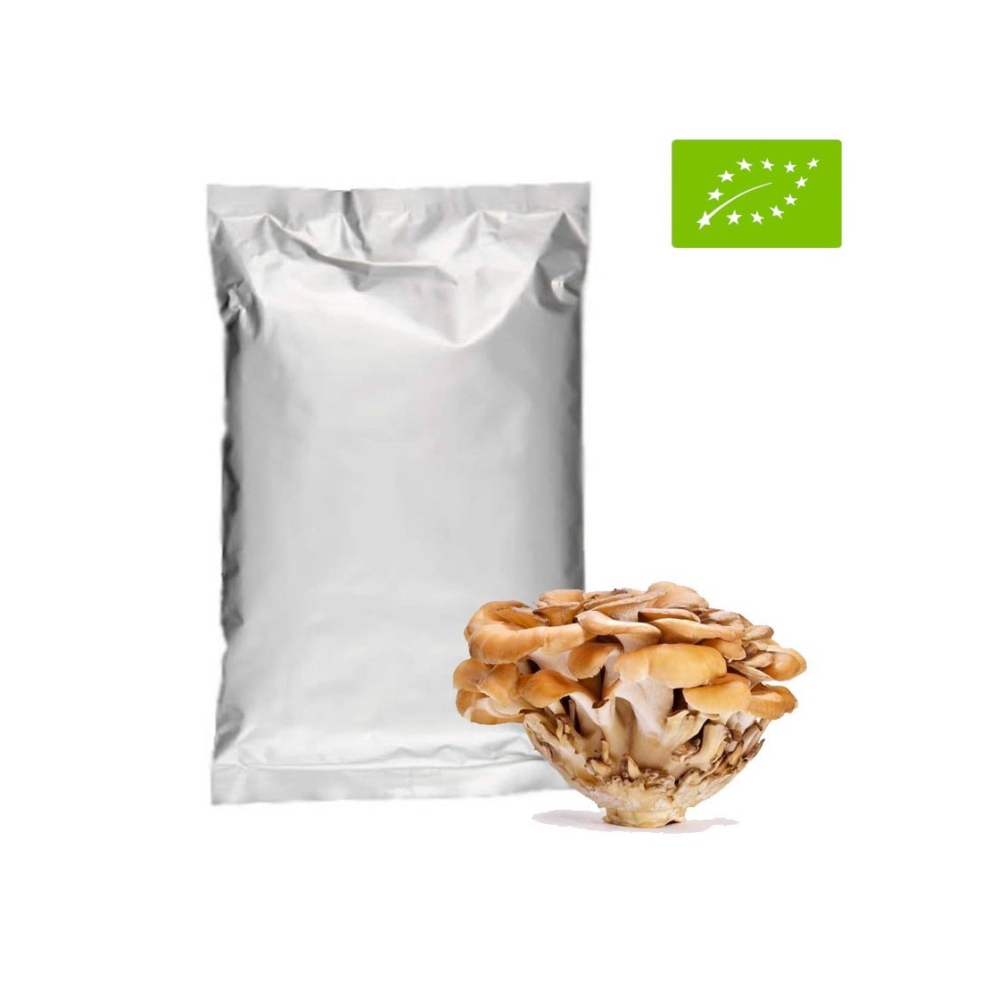 Maitake em Pó BIO 1Kg - Grifola Frondosa Maitake em Pó BIO 1Kg - Grifola Frondosa