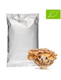 1 Kg Poudre de Maitake BIO, champignon Grifola frondosa riche en fibres et protéines.