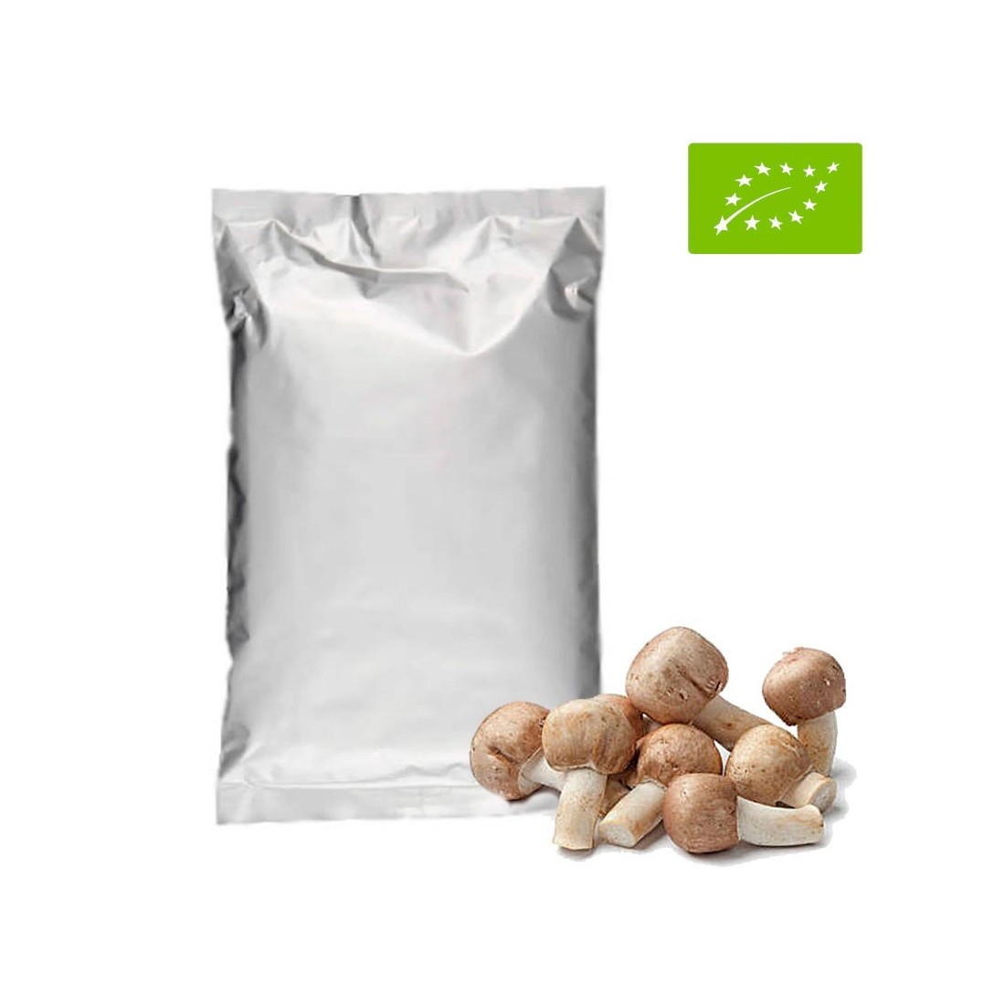Bio Sonnenpilz 1Kg | Organisches Superfood Bio Sonnenpilz 1Kg | Organisches Superfood