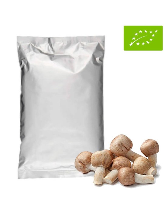 Organic Sun Mushroom BIO 1Kg | Organic Superfood Organic Sun Mushroom BIO 1Kg | Organic Superfood