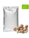 Poudre Champignon du Soleil Bio 1Kg - Agaricus Blazei
