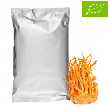 1 Kg Bio Cordyceps Pulver