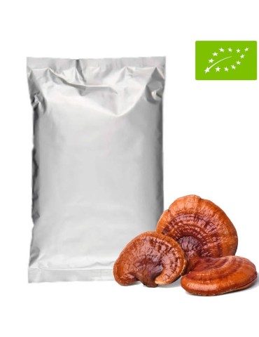 Reishi in Polvere BIO 1Kg - Integratore Naturale Biologico