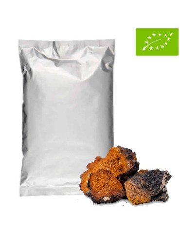 Polvere Chaga Biologica 1Kg - Superfood Antiossidante