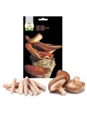 Micelio Pellet Shiitake 20uds - Cultivo Fácil y Rápido