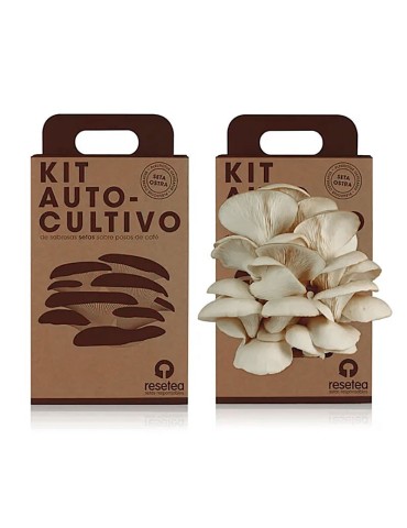 Oyster Mushroom Growing Kit RESETEA - Easy and Nutritious 2