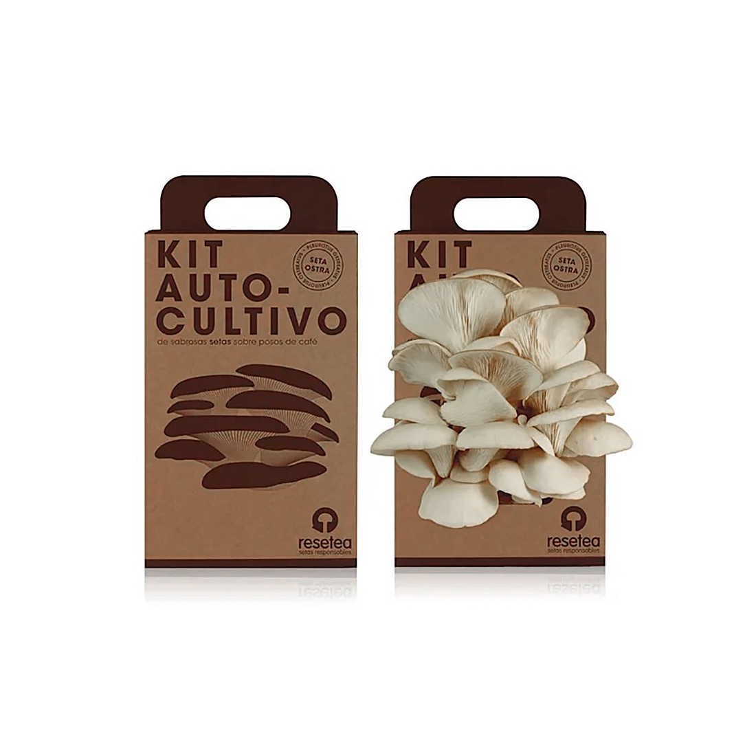 Kit de Cultivo Setas de Ostra RESETEA - Fácil y Nutritivo