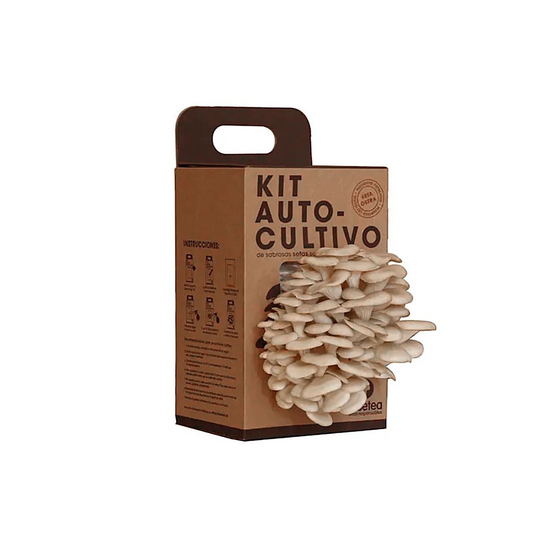 Oyster Mushroom Growing Kit RESETEA - Easy and Nutritious Oyster Mushroom Growing Kit RESETEA - Easy and Nutritious