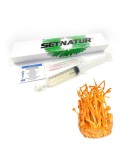 Jeringa Micelio Cordyceps Militaris - Cultiva Salud
