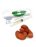 Siringa da 10 ml con micelio di fungo Reishi (Ganoderma lucidum) per l'inoculazione di substrati.