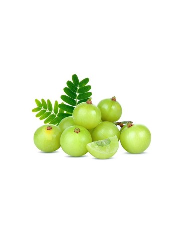 AMLA in Polvere Biologico - SuperAlimento Naturale 1kg 2