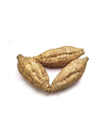 Polvere di Arruruz 1kg | Naturale e Senza Glutine 2