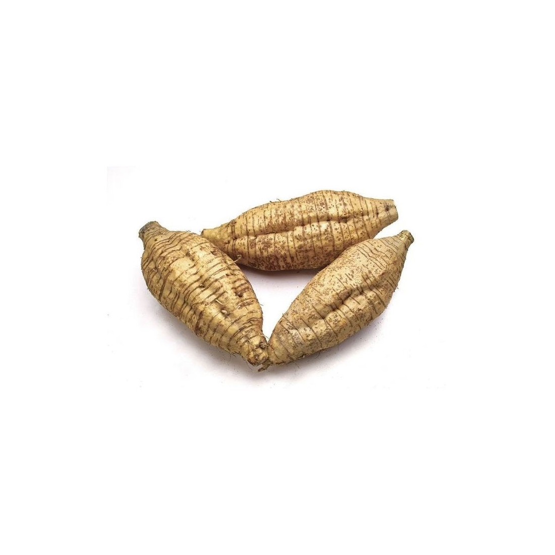 Polvilho 1kg | Natural e Sem Glúten