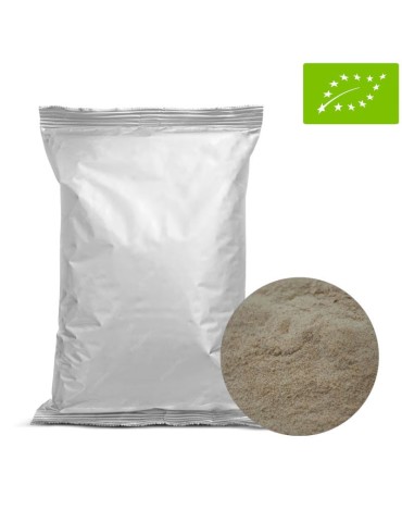 Polvere di Dattero Biologica 1kg | Dolcifica in Modo Sano