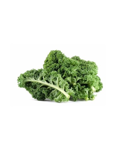KALE Col Rizada Orgánica 1kg | Superalimento Sano y Versátil 2