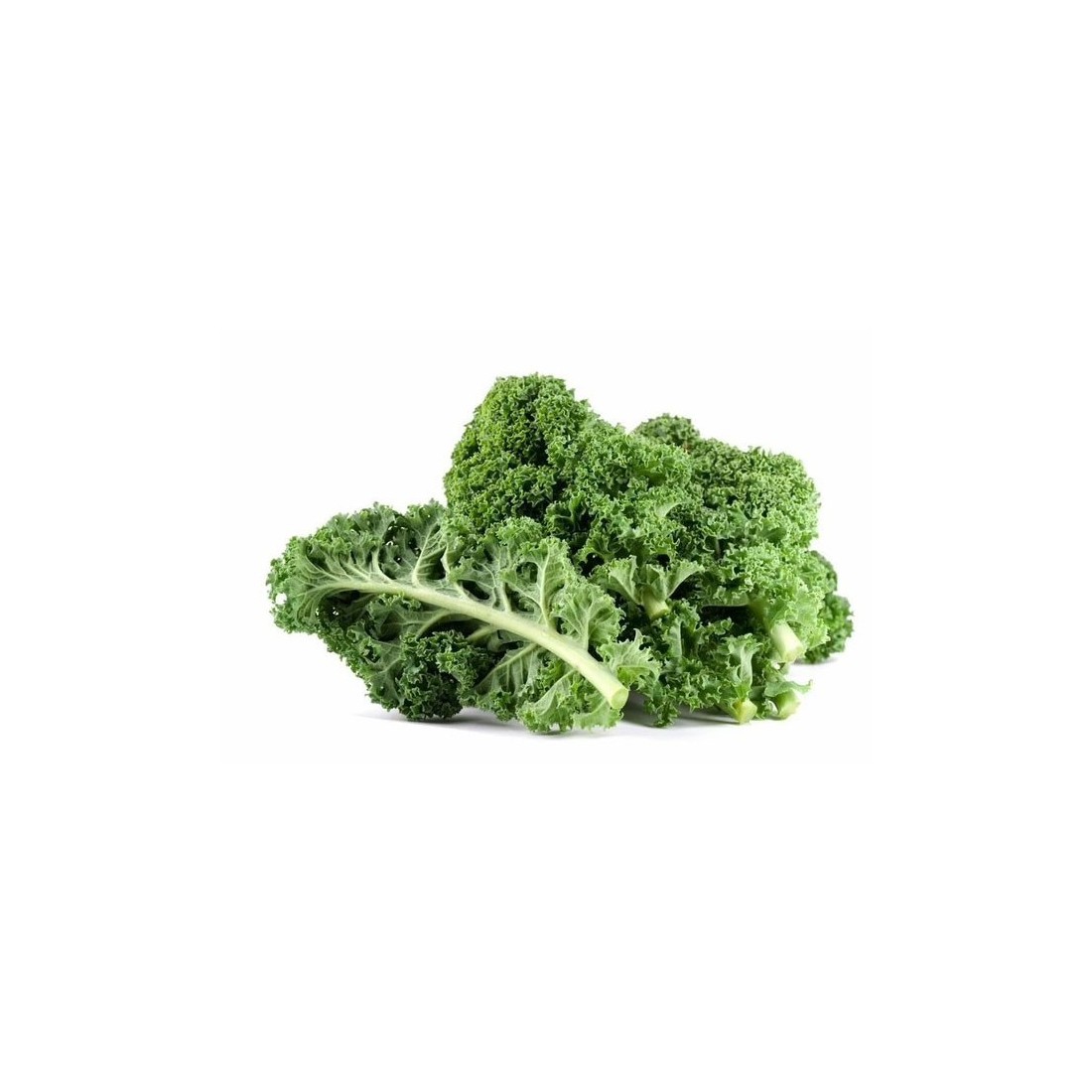 KALE Couve-rábano Em Pó Orgânico 1kg - Superalimento Fácil