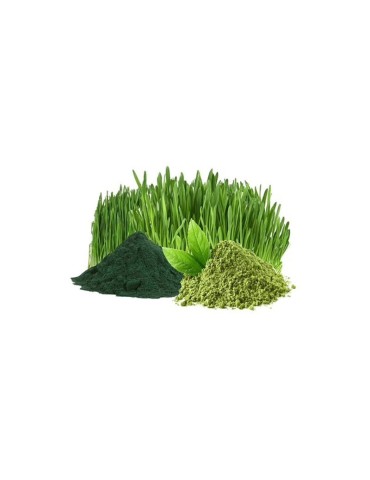 Green Blend Organic Powder Mix | Superfood Energy & Vitality 2