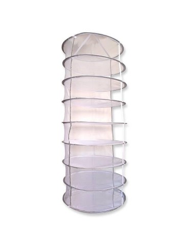 Mushroom dryer