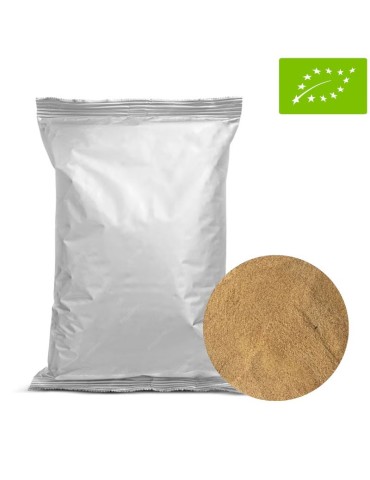 Mamão em Pó Liofilizado Orgânico - Saúde e Energia