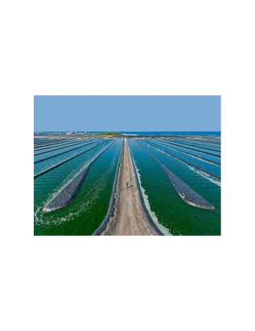 Suplemento Espirulina Azul Phytoblue - Fonte de Energia... 2