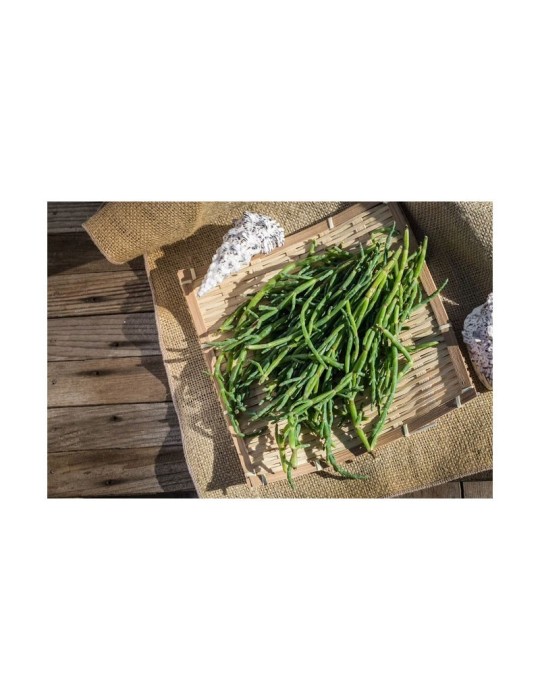 Organic Samphire Mud Powder 1kg