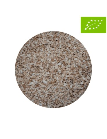 Melena de León BIO 1Kg, 4-6mm - Potencia Salud y Mente 2