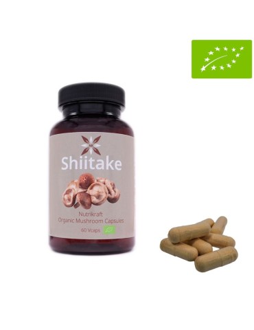 Shiitake 60 Kapseln Bio - Stärke Immunsystem & Energie 2