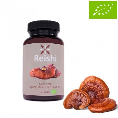 Reishi 60 Cápsulas Bio 450mg