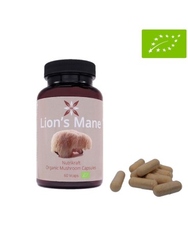 Bio-Leonenmähne 60 Kapseln 450mg | Energie & Immunität 2