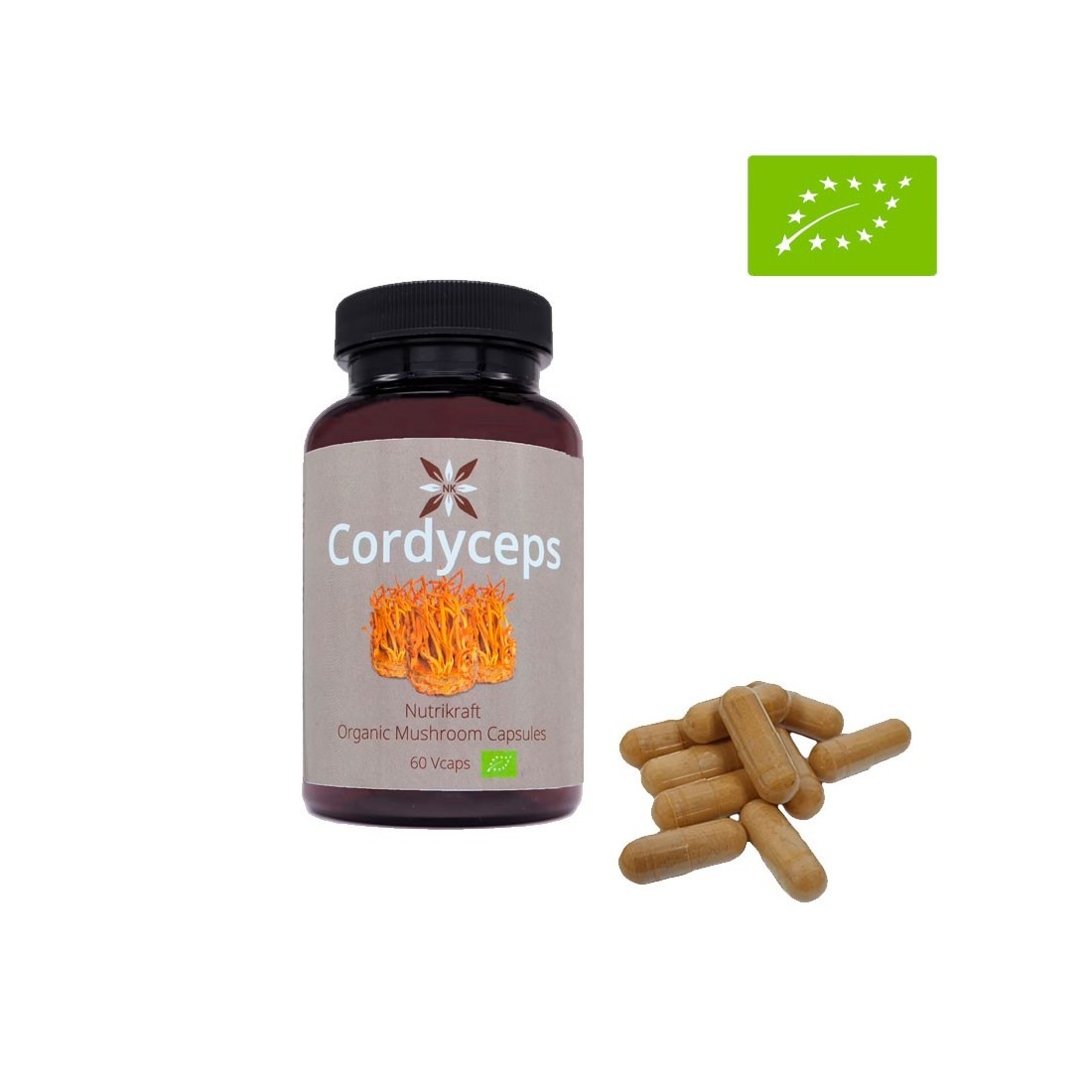 Cordyceps 60 Capsules Bio 450mg - Énergie & Immunité