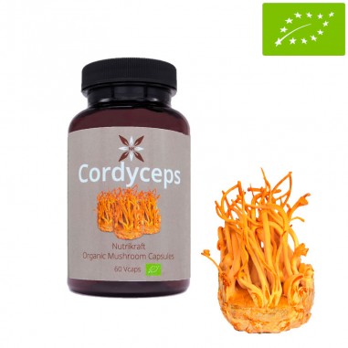 Cordyceps 60 Cápsulas Bio 450 mg