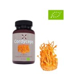 Cordyceps 60 Capsules Bio 450mg - Énergie & Immunité