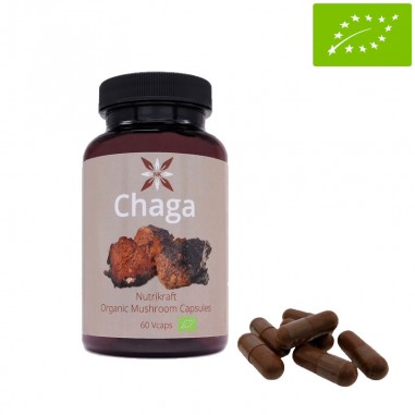 Chaga 60 Cápsulas Bio 450 mg