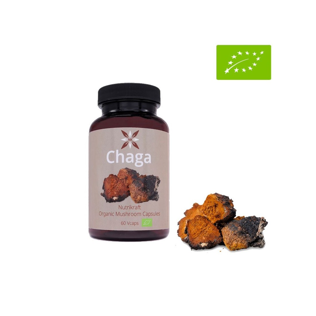 Chaga 60 Capsules Bio 450mg - Énergie & Bien-être Chaga 60 Capsules Bio 450mg - Énergie & Bien-être